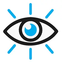 Vision